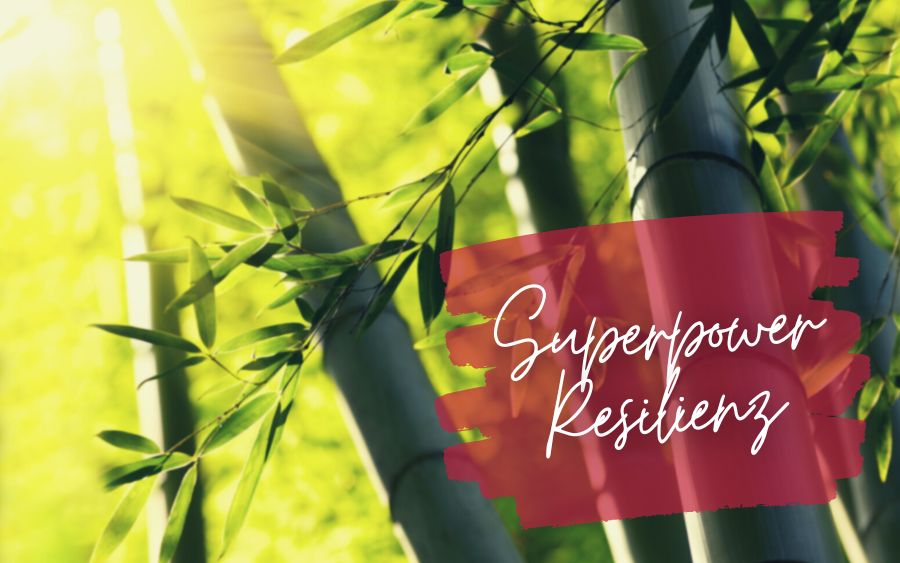 Bamboo with lettering "Superpower Resilience"