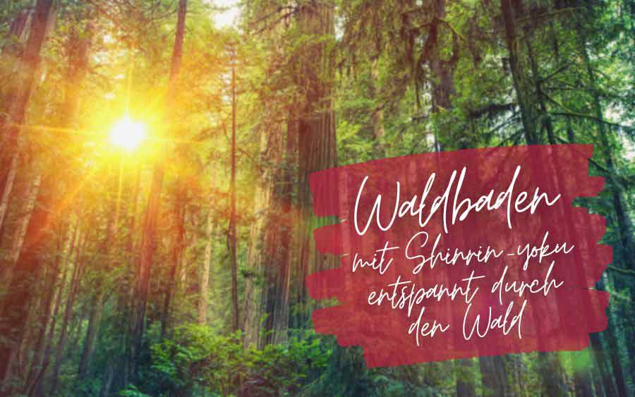 Forest shot with lettering "Forest bathing - relaxed through the forest with Shinrin Yoku"