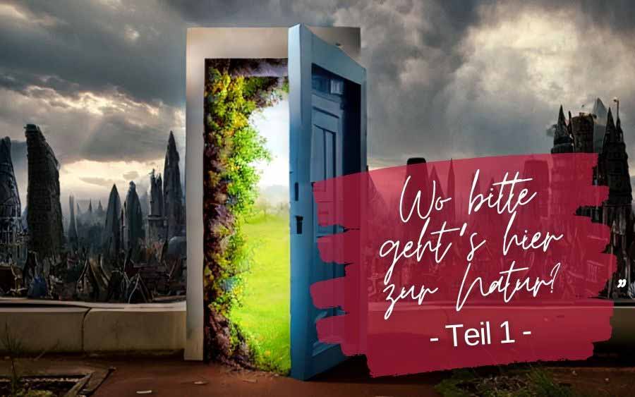An open door that invites you to find relaxation in nature.