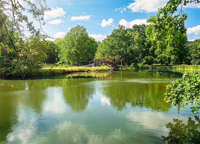 A tranquil pond with green water surrounded by lush trees and a small wooden bridge under a bright blue sky with scattered clouds.