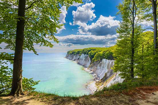 Overlooking a picturesque coastline with white chalk cliffs and turquoise waters, framed by tall green trees under a partly cloudy blue sky.
