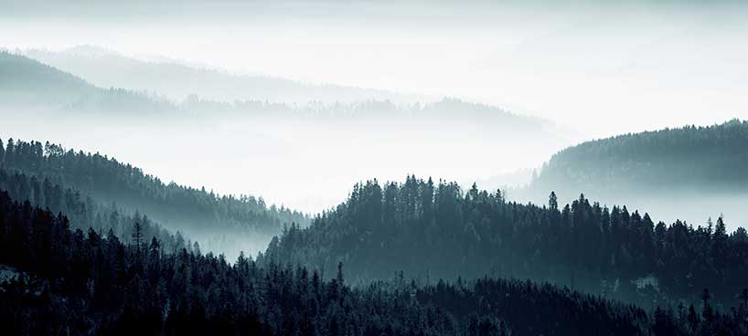 A serene, misty landscape with several tree-covered hills disappearing into the distance, creating a calm and atmospheric scene.
