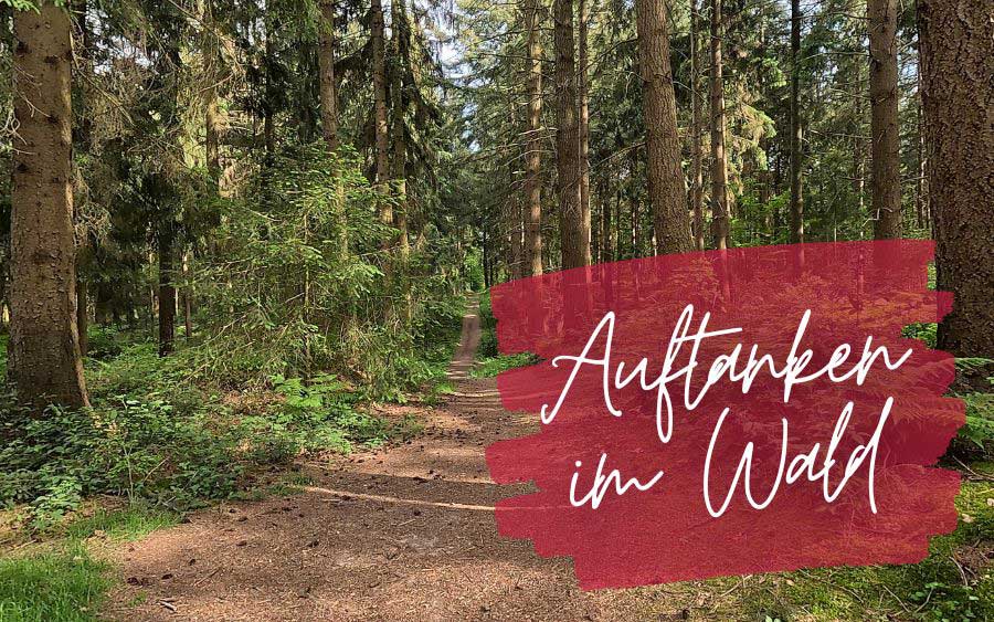 A forest scene with a forest path surrounded by trees and greenery. The words "Recharge in the woods" are written in white on a red brushstroke overlay, inviting you to find relaxation in nature.